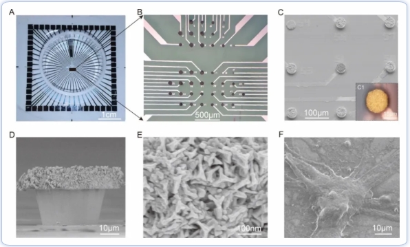 屏幕截圖_19-11-2025_11503_m.izmx.cn.jpeg 屏幕截圖_19-11-2025_11503_m.izmx.cn.jpeg